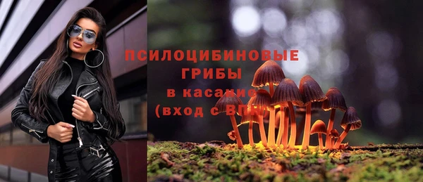 бошки Арсеньев